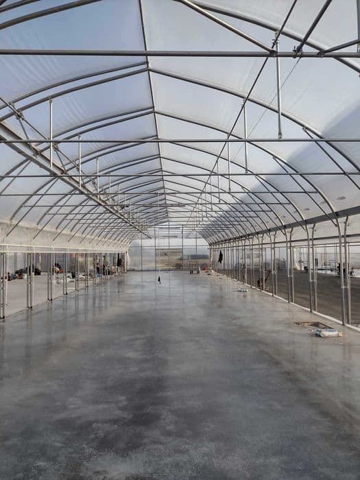 Betonowy podjazd do garażu — realizacja w okolicach Lublina